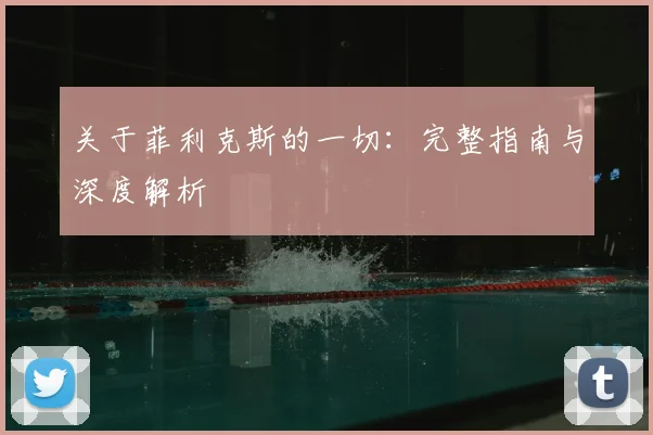 关于菲利克斯的一切:完整指南与深度解析