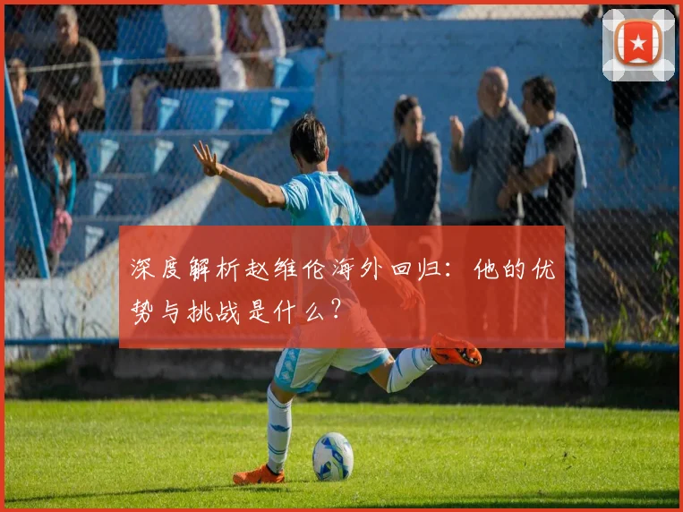 深度解析赵维伦海外回归:他的优势与挑战是什么?
