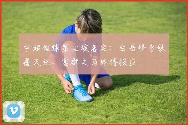 中超假球案尘埃落定:白岳峰李铁覆灭记,害群之马终得报应