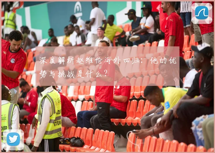 深度解析赵维伦海外回归：他的优势与挑战是什么？