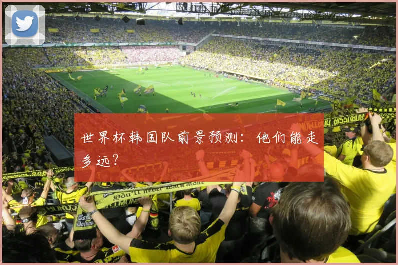 世界杯韩国队前景预测：他们能走多远？