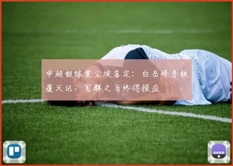 中超假球案尘埃落定：白岳峰李铁覆灭记，害群之马终得报应
