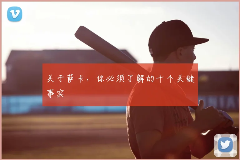 关于萨卡，你必须了解的十个关键事实